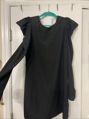Zara Woman Black Long Sleeve mini Dress